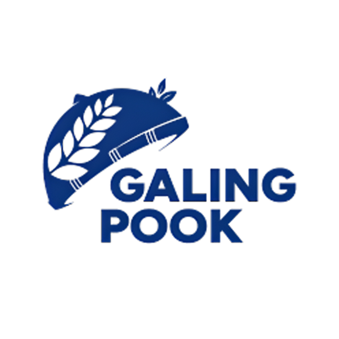Galing Pook Foundation